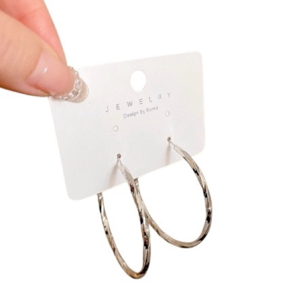 Silver Stainless Steel Hoop Earrings - Picture 1 of 2
